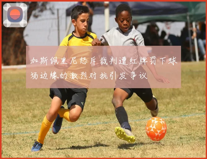 加斯佩里尼怒斥裁判遭红牌罚下球场边缘的激烈对抗引发争议